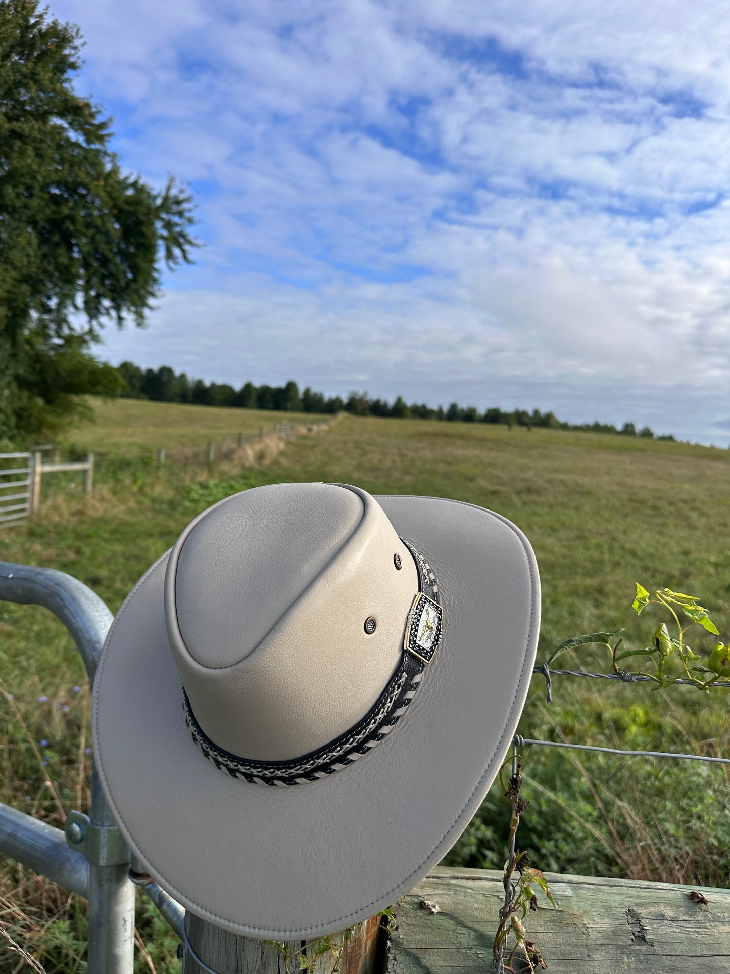 Hat/sombrero Perla Delux p010