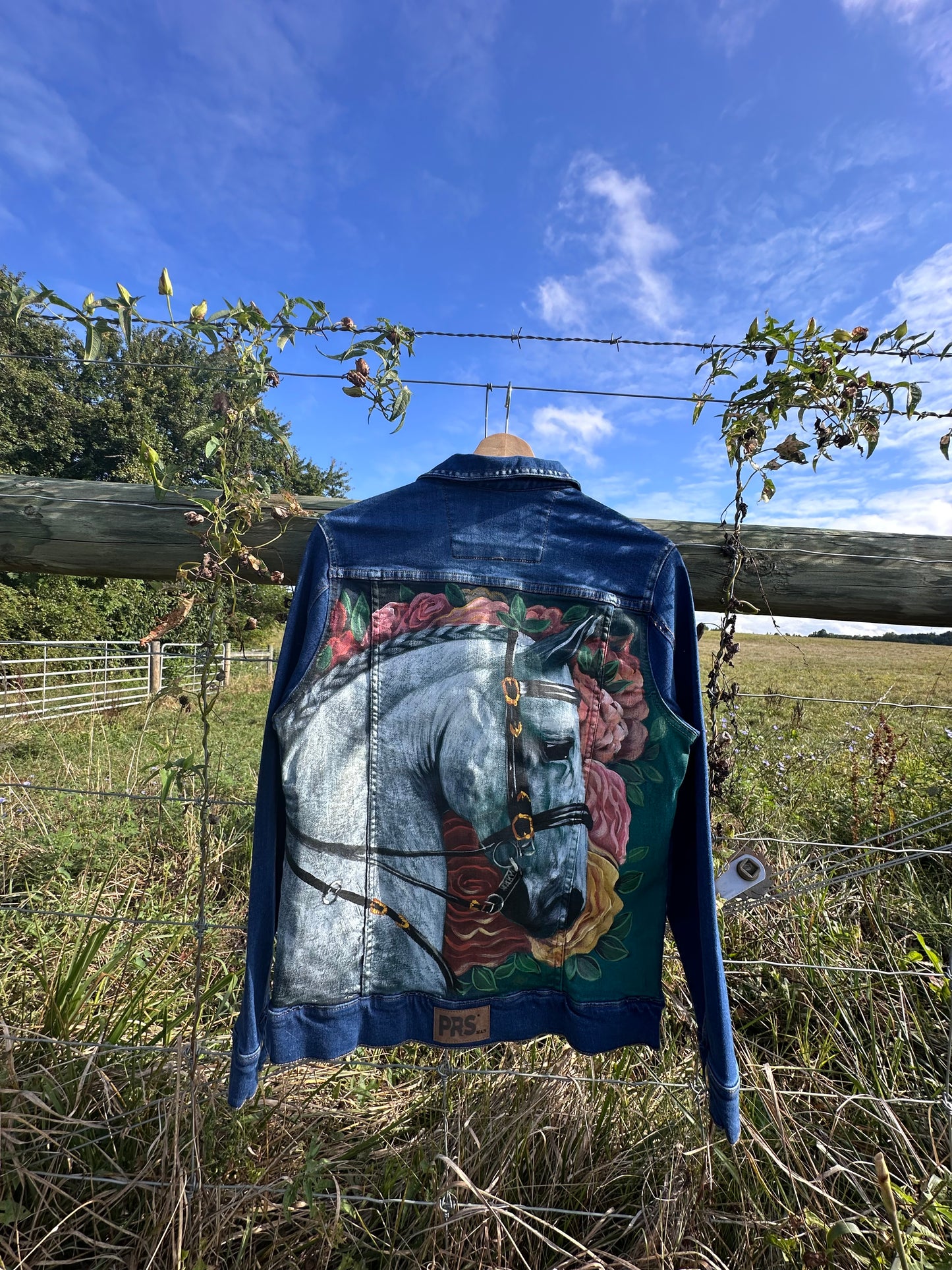 Jean Jacket/ chaqueta en Jean