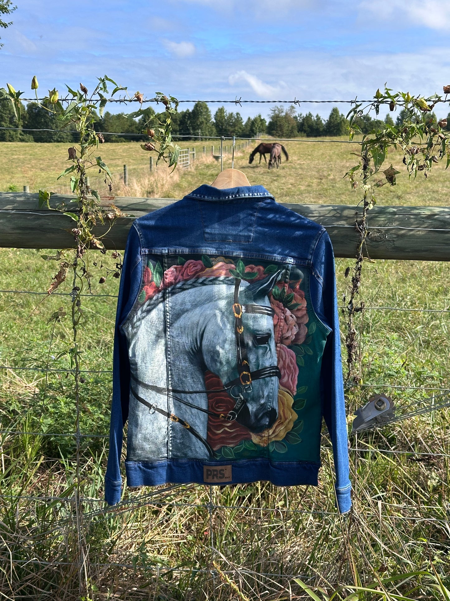 Jean Jacket/ chaqueta en Jean